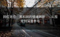 网红效应：黑料网的情绪转折——从围观到深度参与