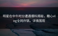 明星在中午时分遭遇爆料揭秘，糖心vlog全网炸锅，详情围观