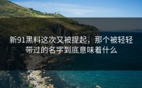 新91黑料这次又被提起，那个被轻轻带过的名字到底意味着什么