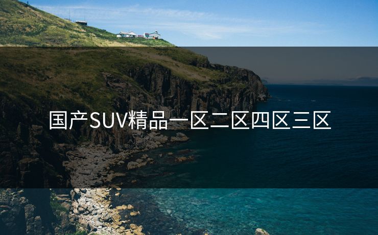 国产SUV精品一区二区四区三区 国产SUV精品一区二区四区三区